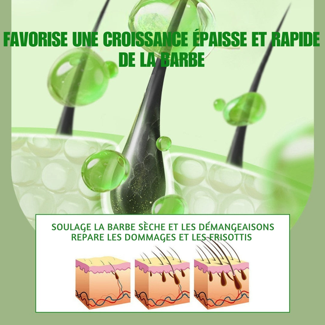 Ensemble de 3 Kits de soins pour barbe